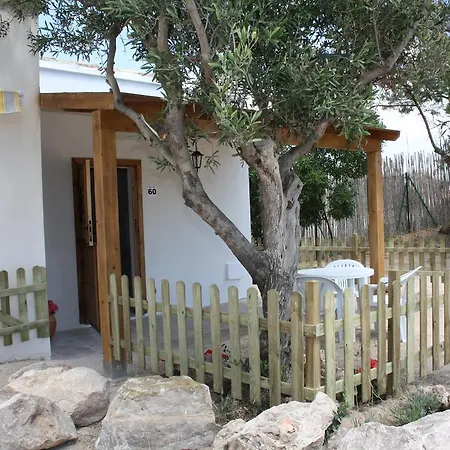 Camping Azul Oliva